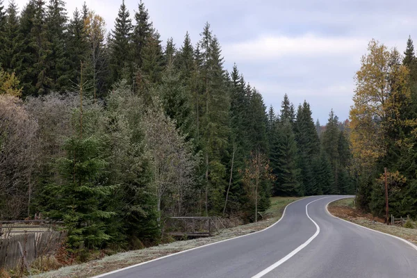 Piękny Widok Asfaltową Autostradę Przechodzącą Przez Las Iglasty Jesienny Sezon — Zdjęcie stockowe