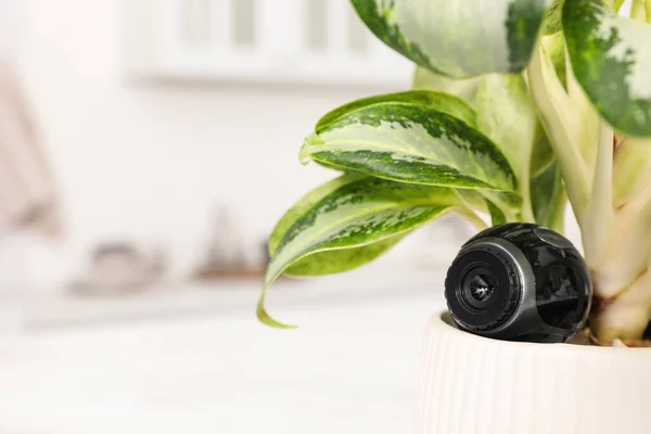 Spion Camera Verborgen Bloempot Binnen Close Ruimte Voor Tekst — Stockfoto