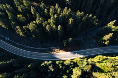 Güneşli bir günde asfalt yolun havadan görünüşü kozalaklı ormanlarla çevrilidir. Drone fotoğrafçılığı