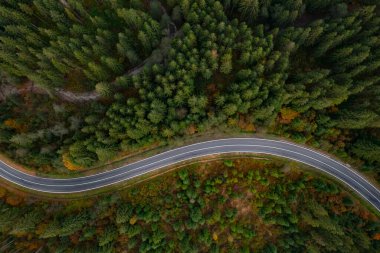 Güzel bir ormanın ve sonbahar günü boş bir yolun havadan görünüşü.