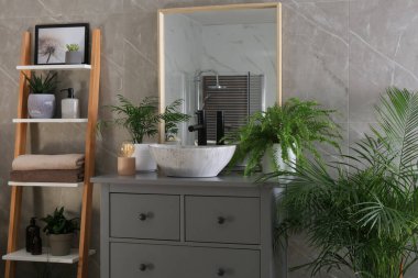 Modern banyo iç mimarisi şık tekne lavabosu ve güzel yeşil ev bitkileriyle