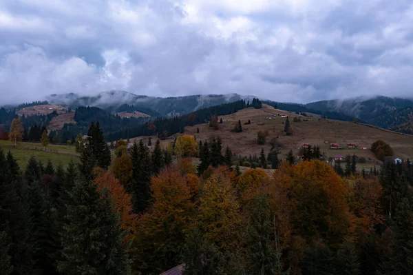 Uitzicht Vanuit Lucht Prachtig Bos Bergdorp Herfstdag — Stockfoto