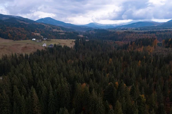 Uitzicht Vanuit Lucht Prachtig Bos Bergen Herfstdag — Stockfoto