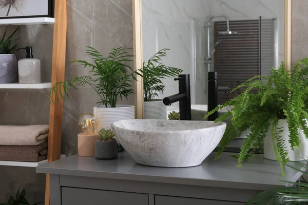 Moderne Badkamer Interieur Met Stijlvolle Schip Wastafel Mooie Groene Kamerplanten — Stockfoto