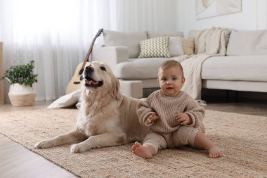 Evinde yerde sevimli bir köpeği olan şirin bir bebek.