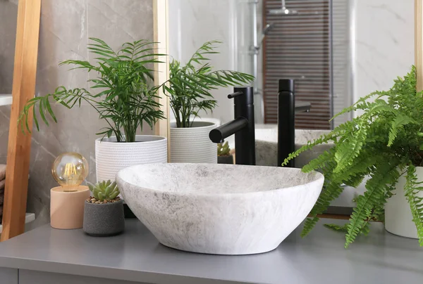 Stylish Vessel Sink Beautiful Green Houseplants Bathroom — Stock Photo, Image