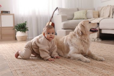 Evinde yerde sevimli bir köpeği olan şirin bir bebek.