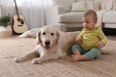 Evinde yerde sevimli bir köpeği olan şirin bir bebek.