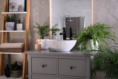 Modern banyo iç mimarisi şık tekne lavabosu ve güzel yeşil ev bitkileriyle