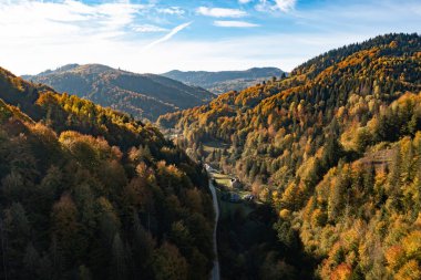 Güzel sonbahar ormanlarında yol manzarası