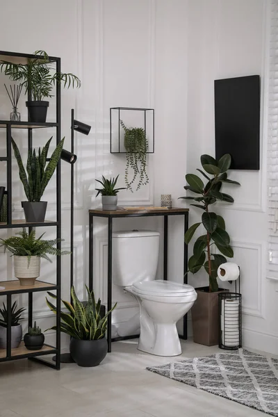 Interior Elegante Banheiro Com Vaso Sanitário Muitas Plantas Sala Bonitas — Fotografia de Stock