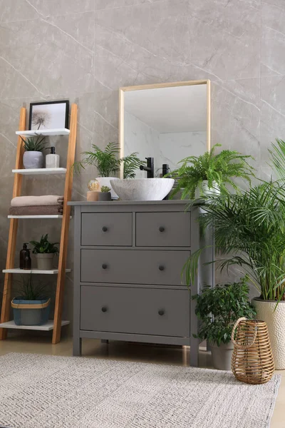 Intérieur Salle Bain Moderne Avec Évier Élégant Belles Plantes Intérieur — Photo