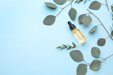 Açık mavi arka planda bir şişe okaliptüs esaslı yağ ve bitki dalları. Metin için boşluk