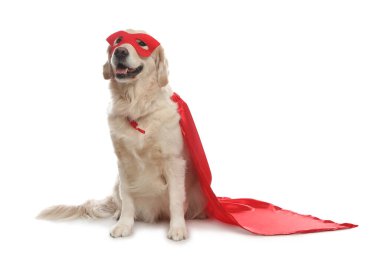 Kırmızı süper kahraman pelerinli ve maskeli sevimli köpek beyaz arka planda.