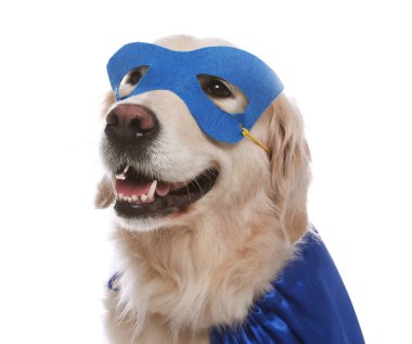 Mavi süper kahraman pelerinli ve maskeli sevimli köpek beyaz arka planda