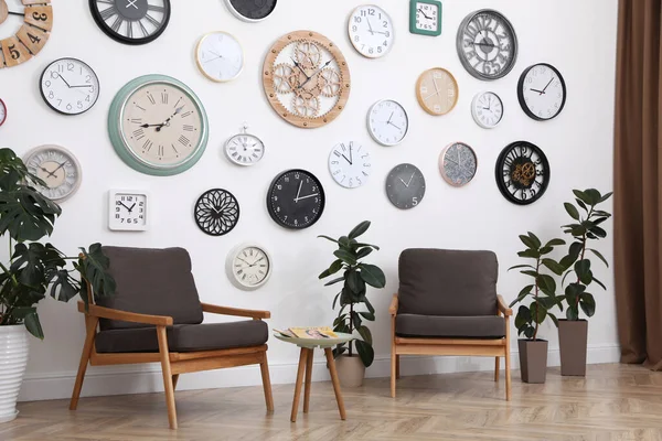 Mobiliário Confortável Belas Plantas Sala Coleção Diferentes Relógios Parede Branca — Fotografia de Stock