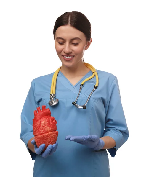 Médico Com Estetoscópio Modelo Coração Sobre Fundo Branco Conceito Cardiologia — Fotografia de Stock