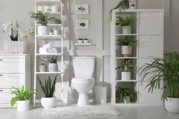 Elegante Cuarto Baño Interior Con Inodoro Muchas Plantas Interior Hermosas —  Fotos de Stock