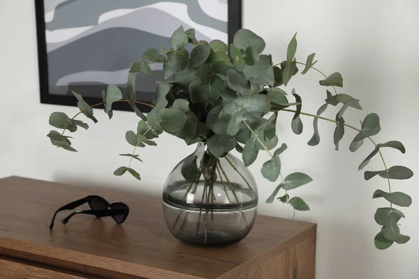 Lunettes Soleil Vase Verre Avec Belles Branches Eucalyptus Sur Une — Photo