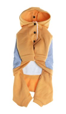 Süslü köpek kıyafetleri beyaza izole edilmiş, üst manzara