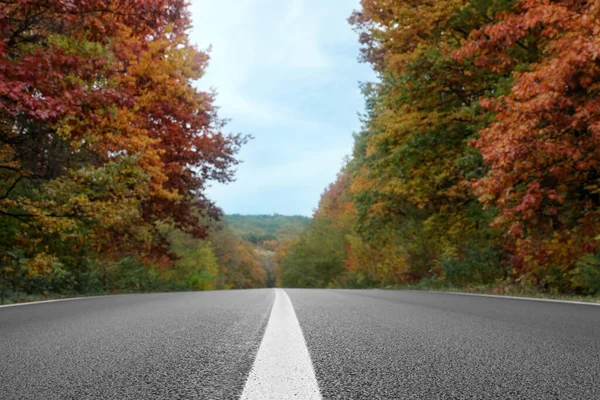 Belle Vue Sur Autoroute Asphaltée Traversant Forêt Automne — Photo