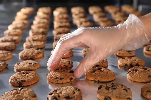 Mulher Tomando Delicioso Biscoito Linha Produção Close — Fotografia de Stock