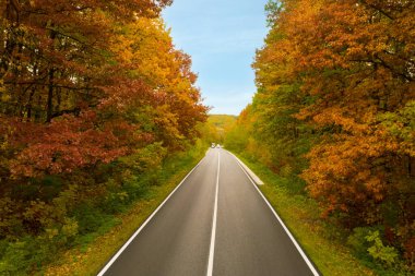 Güzel sonbahar ormanlarında yol manzarası