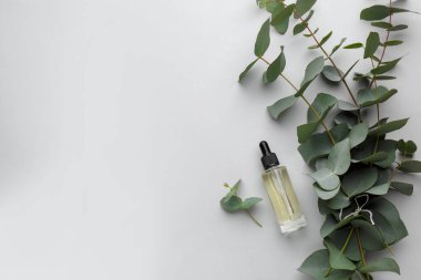 Beyaz arka planda bir şişe okaliptüs esaslı yağ ve bitki dalları. Metin için boşluk