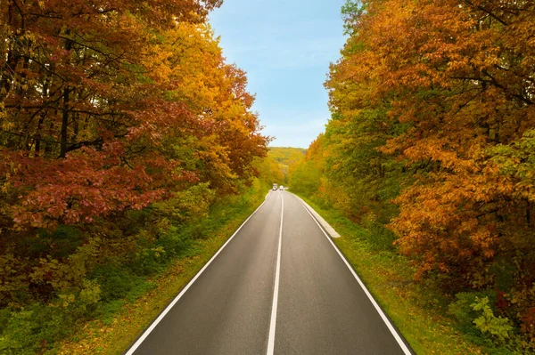 Güzel sonbahar ormanlarında yol manzarası