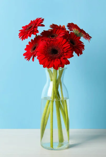 薄青を基調としたガラスの花瓶に美しい赤のガーベラの花の花束 — ストック写真