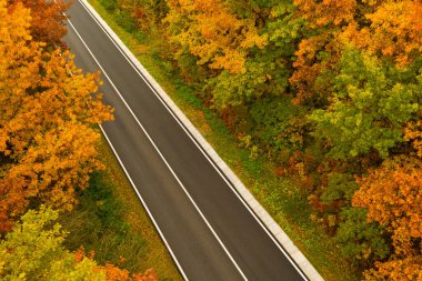 Güzel sonbahar ormanlarında yol manzarası