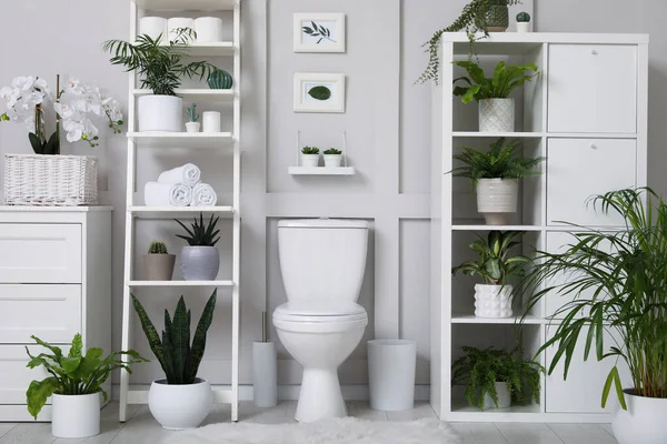 Interior Elegante Banheiro Com Vaso Sanitário Muitas Plantas Sala Bonitas — Fotografia de Stock