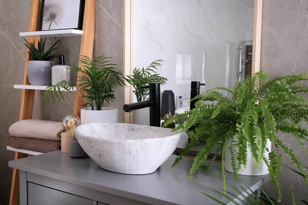 Stylish Vessel Sink Beautiful Green Houseplants Bathroom — Stock Photo, Image