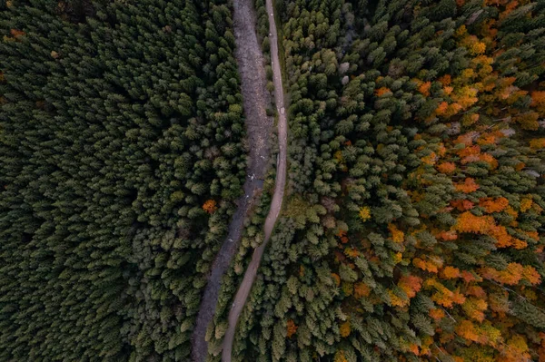 Aerial View Beautiful Forest River Empty Road Autumn Day — Stock Photo, Image