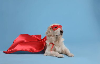 Kırmızı süper kahraman pelerinli sevimli köpek ve açık mavi arka planda maske