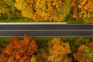 Güzel sonbahar ormanlarında yol manzarası