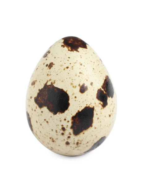 Одно Прекрасное Перепелиное Яйцо Изолированное Белом — стоковое фото