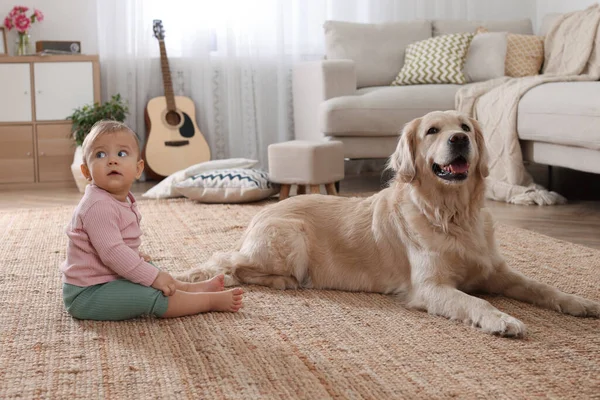 Evinde yerde sevimli bir köpeği olan şirin bir bebek.