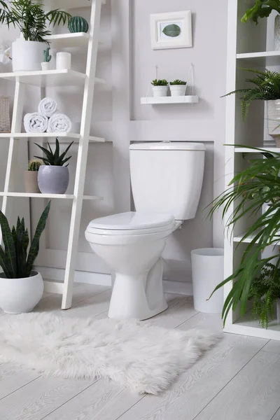 Stilvolles Badezimmerinterieur Mit Toilettenschüssel Und Vielen Schönen Zimmerpflanzen — Stockfoto