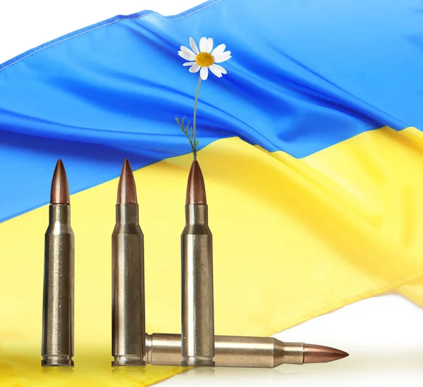 Прекрасна Квітка Кулі Національний Прапор України Білому Тлі Мир Замість — стокове фото
