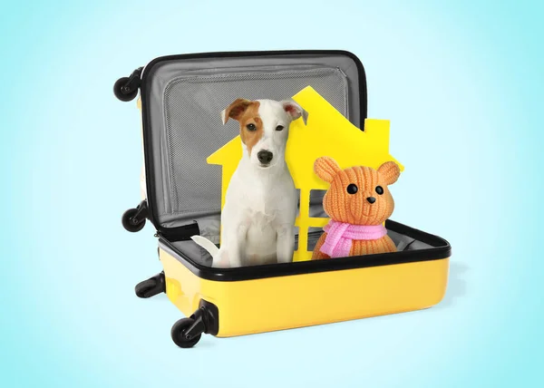 かわいい犬のおもちゃクマとモデルの家でスーツケース上のライトブルーの背景 — ストック写真