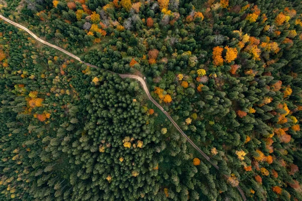 Вид Воздуха Сельскую Дорогу Красивом Осеннем Лесу — стоковое фото
