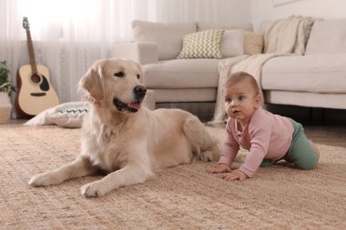 Evinde yerde sevimli bir köpeği olan şirin bir bebek.