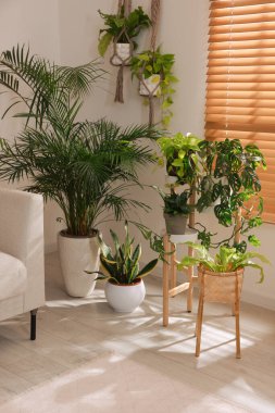 Pencerenin yanında farklı güzellikteki evlerle dolu samimi bir oda.