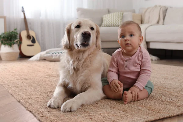 Evinde yerde sevimli bir köpeği olan şirin bir bebek.