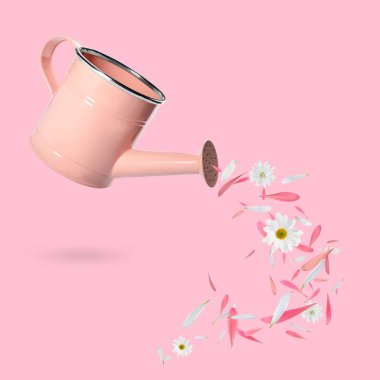 Bahar geliyor. Şık sulama kutuları, pembe arka planda güzel çiçekler ve yapraklar.