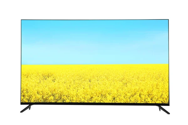 Modern Wide Screen Monitor Showing Field Blossoming Yellow Flowers Blue — стоковое фото
