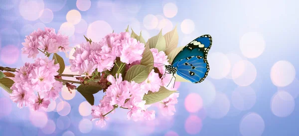Beautiful Butterfly Branch Tiny Flowers Light Blue Background Bokeh Effect — Photo