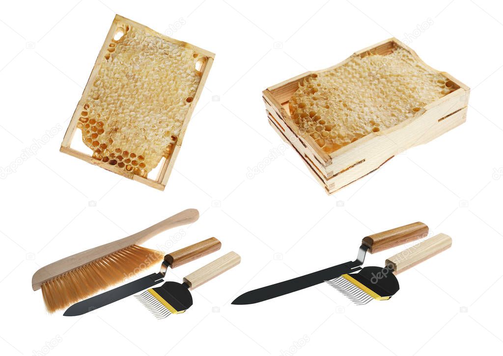 Wooden hive frames with honeycombs and different beekeeping tools on white background, collage
