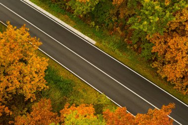 Güzel sonbahar ormanlarında yol manzarası